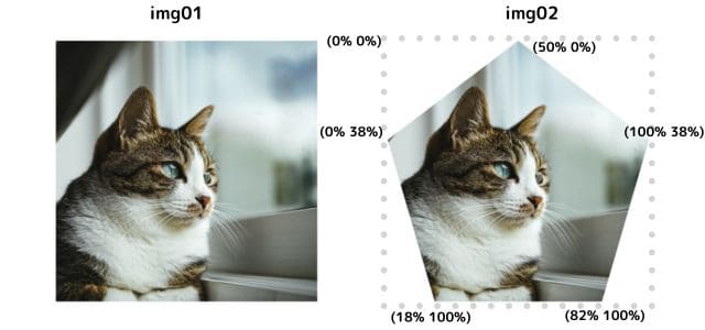 clip-pathのpolygonで５角形に切り取ったときの例